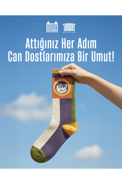 Uyuyan Kedi Mor Yeşil Krem Çorap
