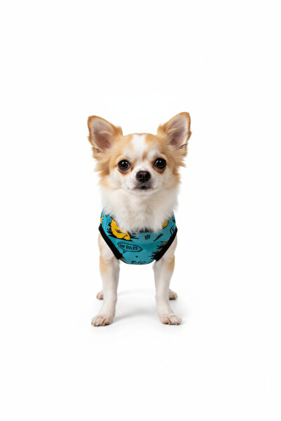 Yumuşak Tüylü Patiler Cat-Dog Outfit Patterned - Small Breed