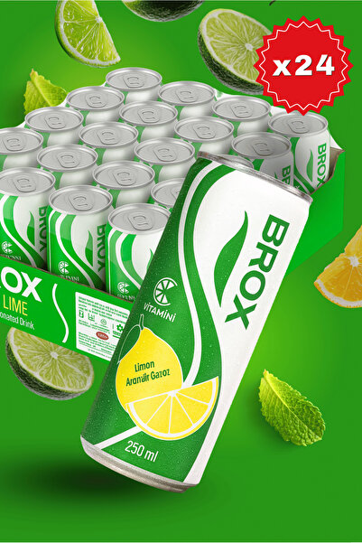 BROX LİMON AROMALI GAZOZ 250 ML 24 ADET
