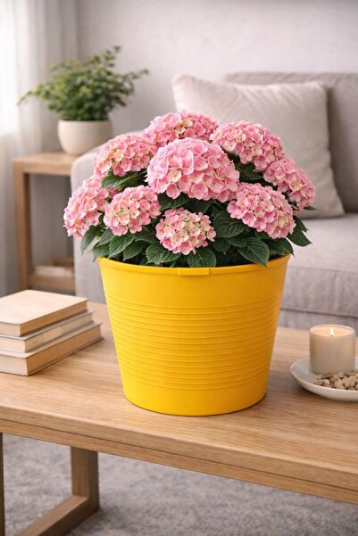 Plant Home Power Mix Büyük Boy 9.8 Litre Sarı Dekoratif Saksı – İç ve Dış Mek...