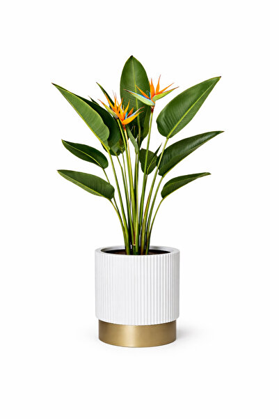 KastaSaksı Luxury Fiber Saksı iç ve Dış Mekan Uyumlu Saksı