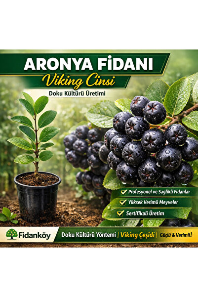 FİDANKÖY Aronya 4/5 yaş büyük poşetli bahce kurulumuna uygun