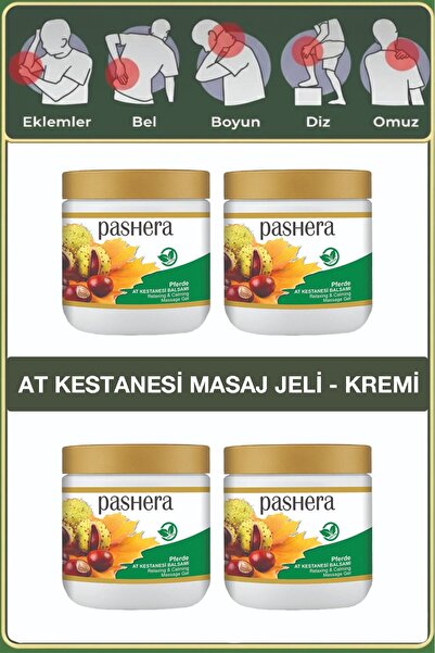 PASHERA At Kestanesi Özlü Mentollü Masaj Jeli 500 ml (4 Adet x 500 ml)