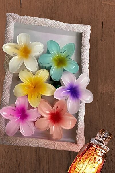 JACK TAMOS مشبك مزلاج زهرة اللوتس 9 سم 6 قطع