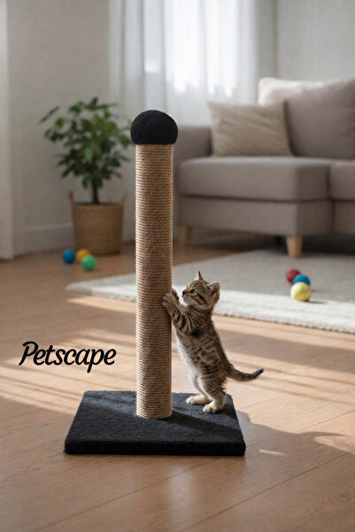 Petscape لوح خدش للقطط مقاس 40 سم - ألوان مختلطة