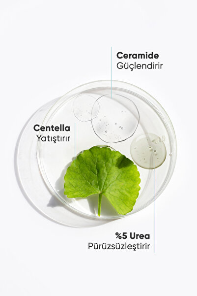 WIWIFY Yoğun Nemlendirici & Onarıcı Vücut Kremi (Intensive Moisturizing Body Lotion %5 Urea + Ceramide)