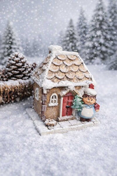 Gardenya Kış Masalı Ev Tütsülük ( Kurabiye Serisi )