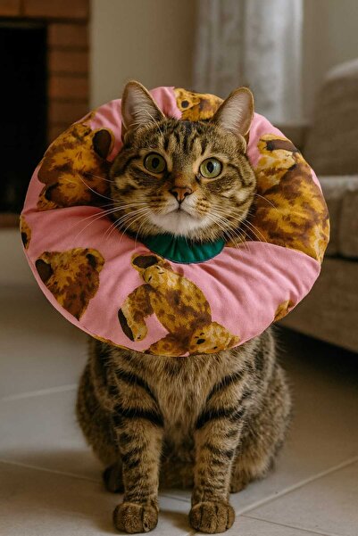 Kedi Köpek Boyunluk - Koruyucu Elizabeth Yaka & Tırnak Kesme Yardımcısı / Mor Uykucu Ayıcık