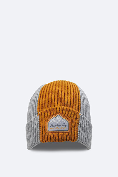 Avva Men's Gray Embroidered Brimmed Beret A32y9206