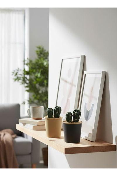 co arma نبات صبار صغير باشواك شبه واقعي يأتي داخل إناء متعدد الالوان  2 حبه