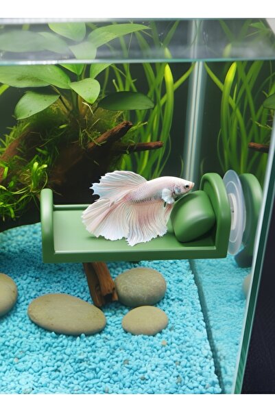 Akvaryum Beta Dinlenme Alanı Mini Yastıklı Yatak KarmaRenkler
