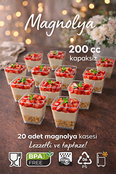 KARADENİZ PLASTİK 20'li 200 CC Piramit Mika Magnolya Kase Sert Plastik Tatlı Sunum Kabı Dondurma Puding Meze