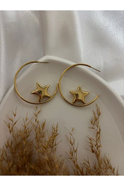 stainless steell Star Detailed Hoop Steel Earrings