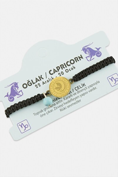 Marsilyan Capricorn Zodiac Steel Bracelet