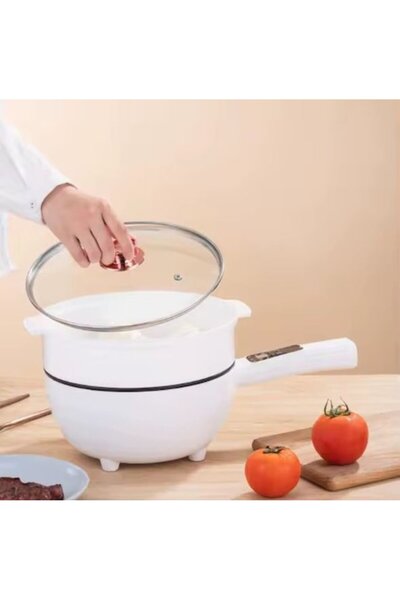 ROONLINE Multifunctional electric frying pan 26cm, temperature adjustment, he...