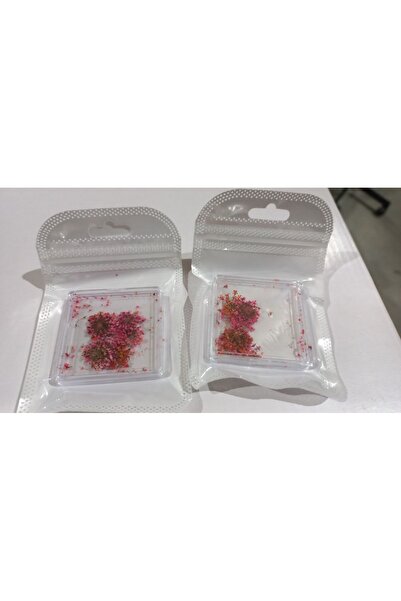 global fashion Nail decoration, dried flowers D24