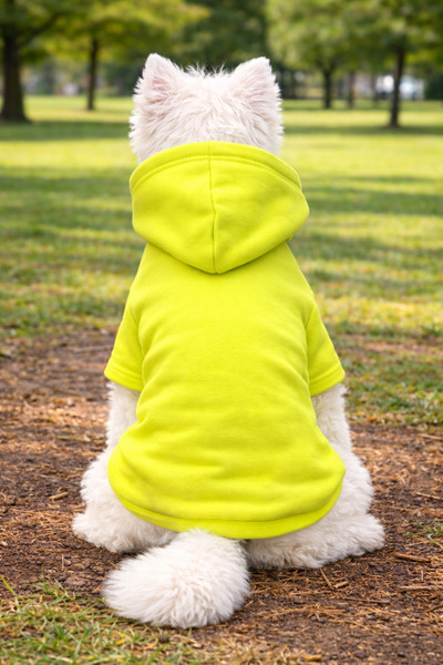 petite pati Neon Sari BASKISIZ Köpek Sweatshirt | Kapşonlu, Polarli Kumaş, Kışlık Köpek Kıyafeti