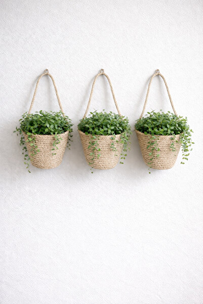 ÖRGÜM Coș Decorarif 3 bucăți Mini organizator decorativ Aparaturi de suspendare și plante NU sunt incluse