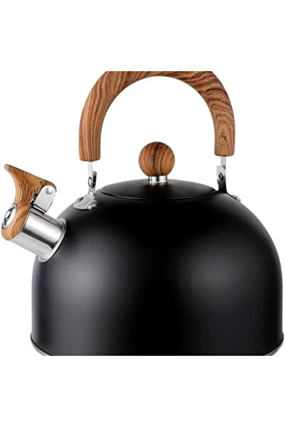 AyrStore 3L Düdüklü Kettle Su Isıtıcı Çaydanlık Paslanmaz Çelik Yüksek Islıkl...