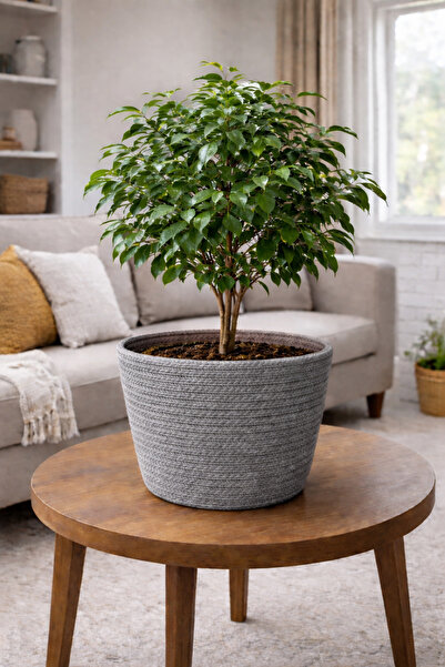 ÖRGÜM Saksı Kılıfı Dekorarif Bitki Sepeti 20x20 cm BİTKİ DAHİL DEĞİLDİR