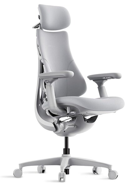 Libernovo Ergonomic Office Chair - Comfy Adjustable Desk Chair with Adaptive Lumbar Support