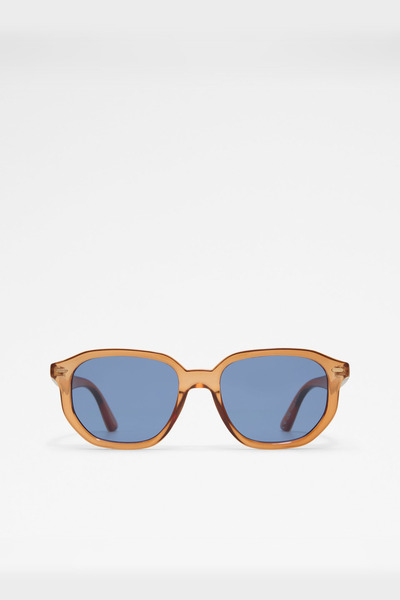 Aldo RAYWIEN - Erkek Kahve Rengi Güneş Gözlüğü