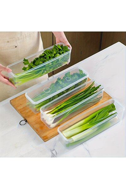 Choice 4pcs 2/4pcs Long Rectangular Food Storage Containers, Plastic Reusable Refrigerator Organizer Boxes