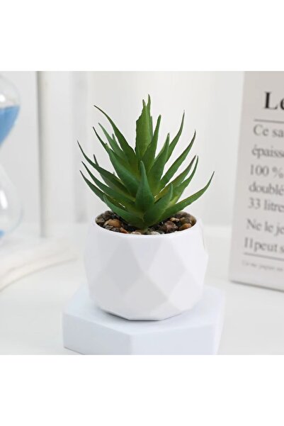 Choice B Eco-Friendly Artificial Succulent Bonsai Set Realistic Plastic Mini Cactus Plants for Home Desk O.