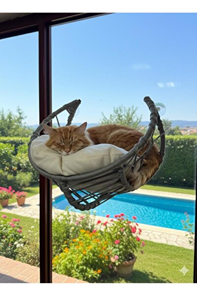 PetsandCompany Vantuzlu Cam Önü Kedi Yatağı Gri Örgü Tasarım Minderli Kedi Ha...
