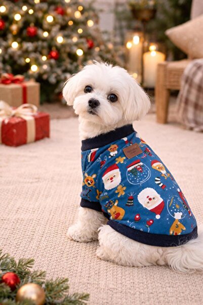 Alphadog Colored Santa Small Breed Dog Sweatshirt