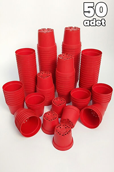 Toptan Kaktüs Kırmızı Plastik Saksı 12 cm Kaktüs ve Sukulent İçin 50 Adet