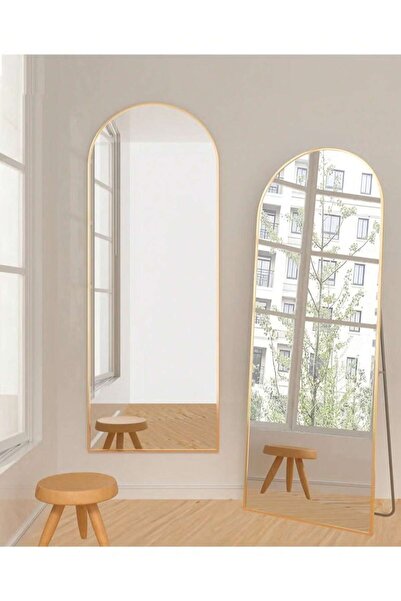 Tiokkss Gold Aluminum Alloy Frame Wall Mounted Full Length Mirror 65x24 for Home