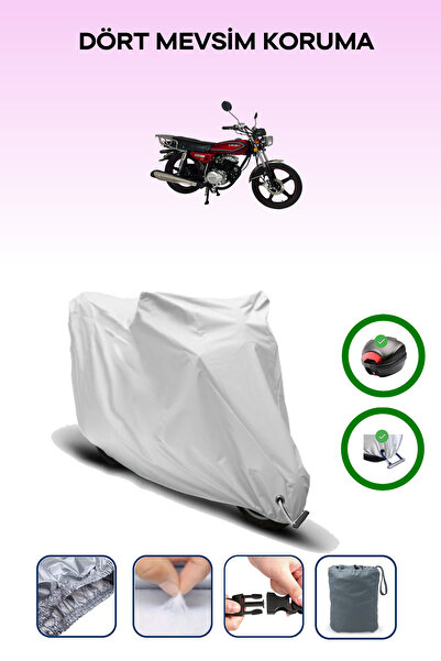 Breen Gray Rear Bag and Lock Compatible Abush Cg 50 Plus Compatible Motorcycl...