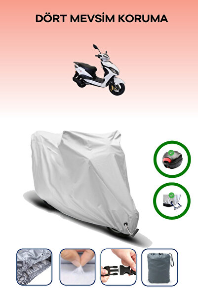 Breen Gray Rear Bag and Lock Compatible Arora Freedom 125 Compatible Motorcyc...