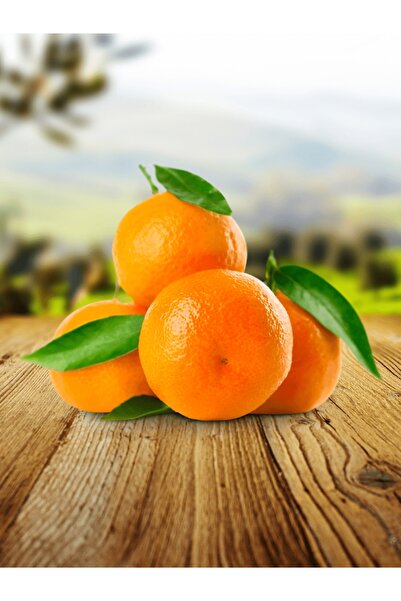 Labari 1 Kg Taze Mandalina Anamur Mandalinası Akdeniz Mandalinası