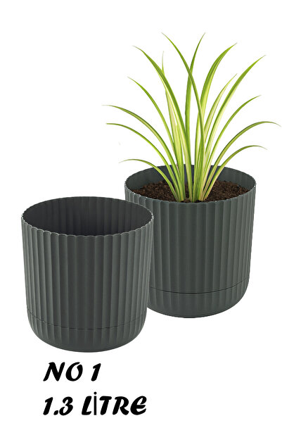 Zeraf Pot No:1 – 2 Pieces 1.3 Liter Table and Table Top Pot (Suitable for Home & Office)