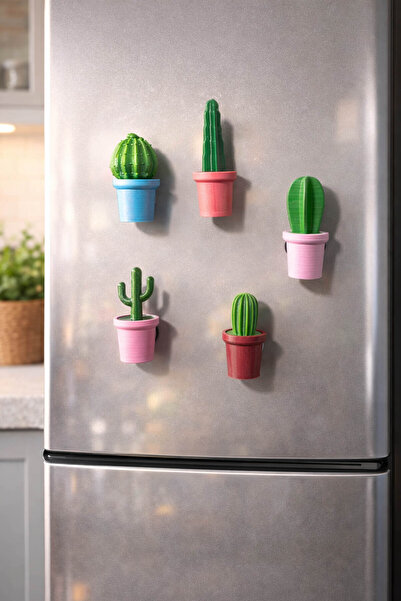 expres hediye Dekoratif Kaktüs Buzdolabı Magnet Seti | 5’li Renkli Kaktüs Magnet