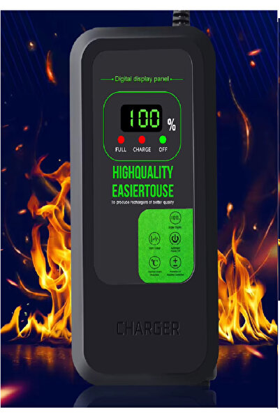 Squirrel شاحن سكوتر دجتال سريع 60V5A