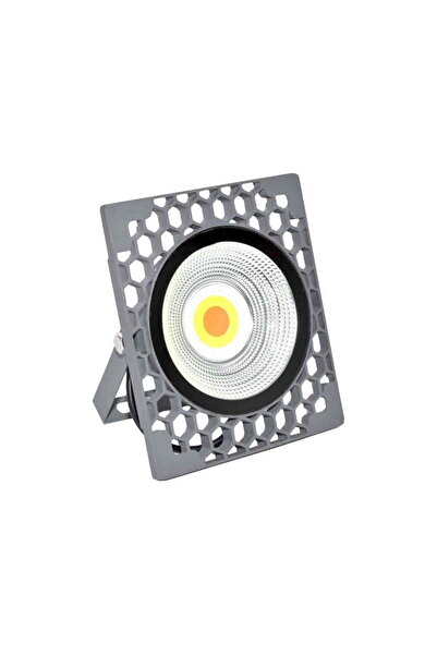 TrendyLux Multicolor LED RGB projector 50W-220V