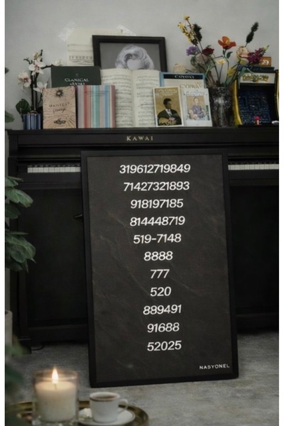 NASYONEL TOYS Sayı Sekanslı Tablo – Modern Duvar Dekoru