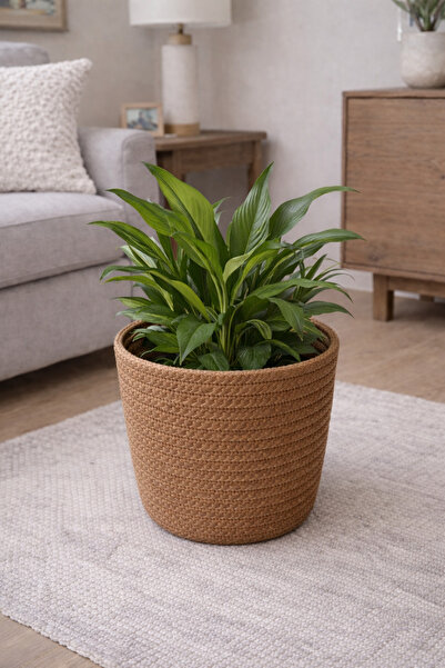 ÖRGÜM Organizer Dekoratif Saksı Kılıfı Çok Amaçlı Oda Düzenleyici Çiçeklik 20...