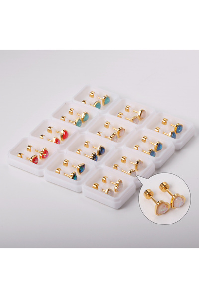 Choice EA61490MG، 12 زوجًا من الأقراط الكورية الأنيقة المصنوعة من الفولاذ الم...