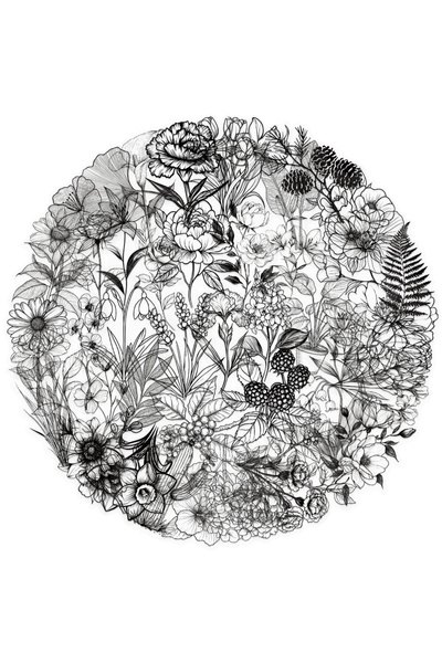 Choice ٥٠ قطعة من ملصقات الزهور والنباتات العتيقة باللونين الأبيض والأسود، من...