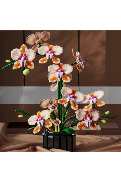Choice بدون علبة، رقم المنتج 13111، مجسم زهرة الأوركيد الخالدة، قطعة ديكور من...