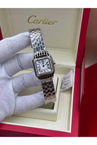 Adieu Silver SİLVER COLOR ZİRCONE STONE MİNİ PANTHERE SAAT