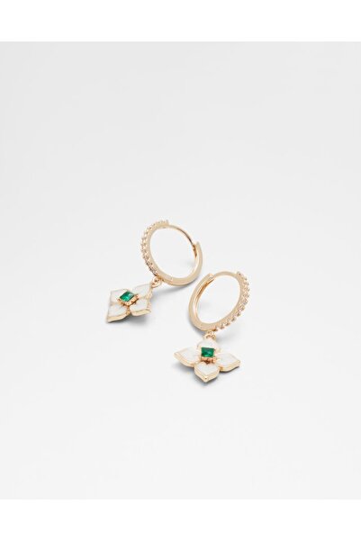 Aldo Coesens / Accessories