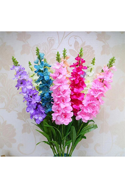 ŞAFAK PEYZAJ TOHUMCULUK Şebboy Çiçeği Tohumu Katmerli Karışık Renk