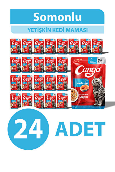 Cango Yaş Yetişkin Kedi Maması Somonlu 80 GR 24 Adet