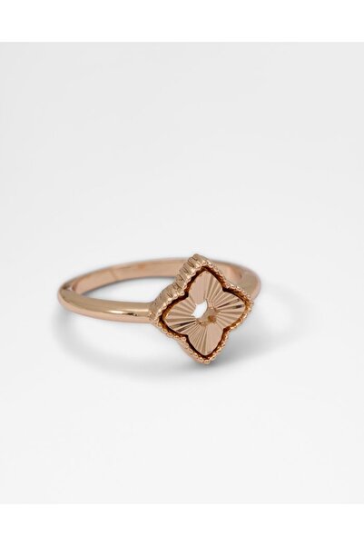 Aldo جيسان / إكسسوارات