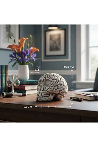 İki Yedi Konsept Qiao Beyin Formlu Dekoratif Masaüstü Obje Kurukafa Modern Of...